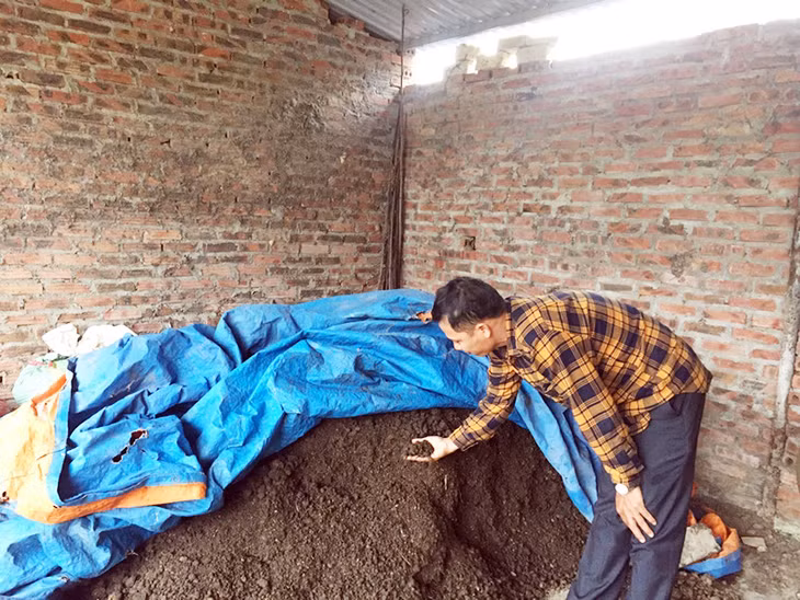 Kiểm tra phân bón thành phẩm tại HTX Dịch vụ môi trường xanh Quảng Yên.