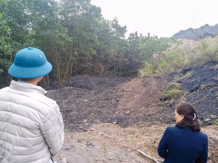 Đất rừng đào bới