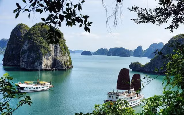 Hạ Long luôn mang lại những trải nghiệm thú vị. Đặc biệt, du khách có dịp tham quan vịnh bằng du thuyền.
