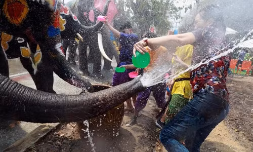 Voi và người dân vui đùa trong lễ hội té nước Songkran tại thành phố Ayutthaya, cách Bangkok khoảng 80 km về phía bắc, hôm 11/4. Ảnh: Reuters.