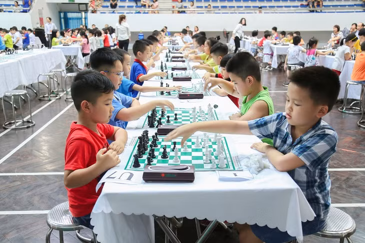 Giải gồm 5 lứa tuổi trẻ (U6, U7, U9, U11, U13) và bảng Open (không phân biệt lứa tuổi)