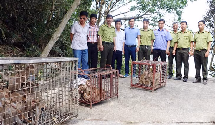 : Chi cục Kiểm lâm tỉnh phối hợp với Ban quản lý Vườn quốc gia Bái Tử Long thả động vật hoang dã (các loại khỉ và rắn hổ mang) về môi trường sống tự nhiên trên các đảo thuộc Vườn quốc gia Bái Tử Long.