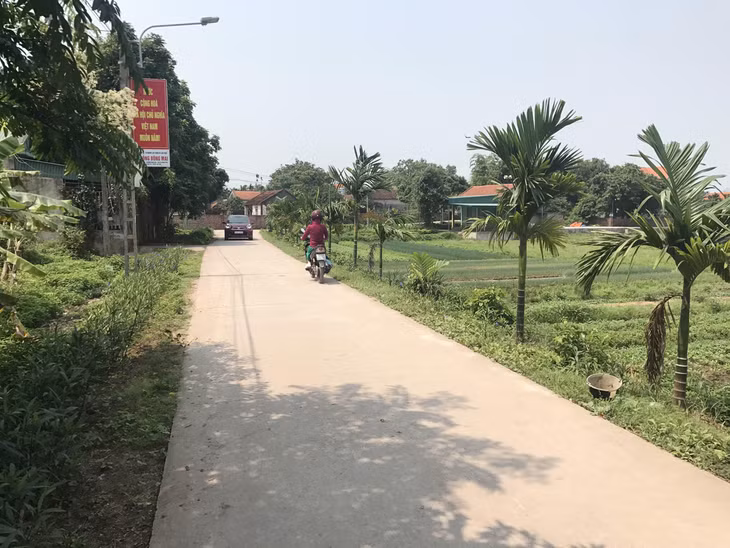 Đường vào các thôn, xóm ở xã Tiền An đều được giữ sạch sẽ và trồng cây xanh để tạo cảnh quan đẹp