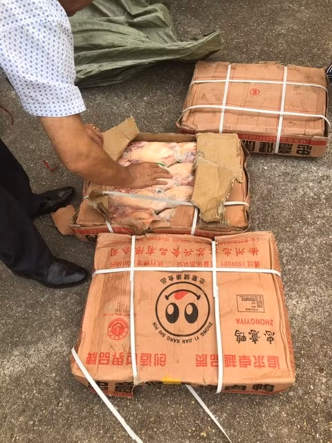 tang vật 990 kg thịt vịt thu giữ.