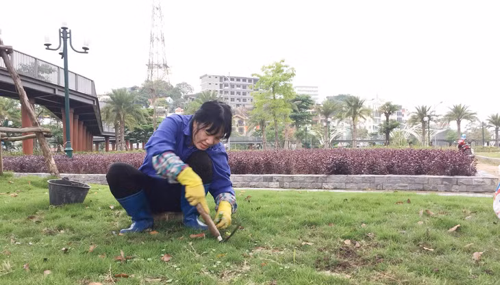 Để những vườn hoa, hàng cây xanh tốt, các công nhân Công ty CP Cây xanh công viên Quảng Ninh đã rất tích cực chăm sóc, bảo vệ.