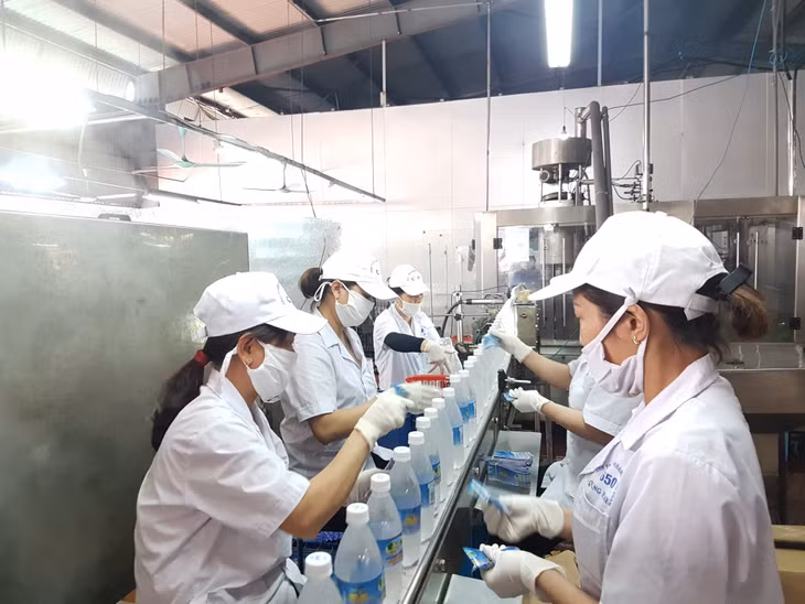 Dây chuyền sản xuất nước khoáng tại Công ty TNHH MTV nước khoáng Công đoàn Quang Hanh.