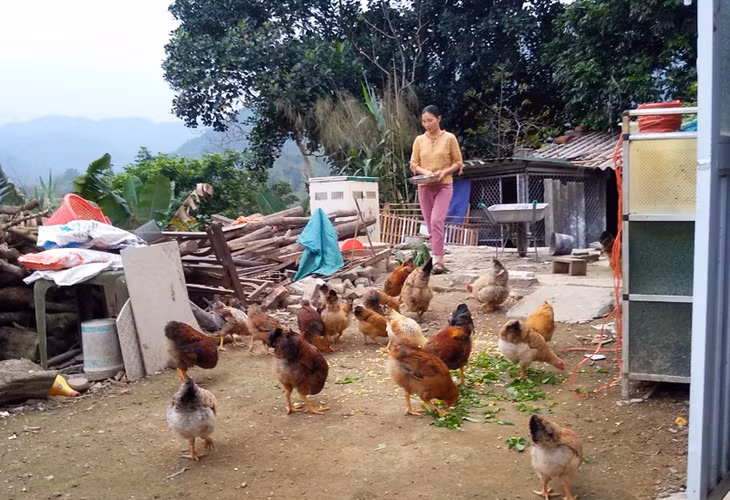 Chị Hoàng Thị Xuân, xã Lục Hồn, huyện Bình Liêu