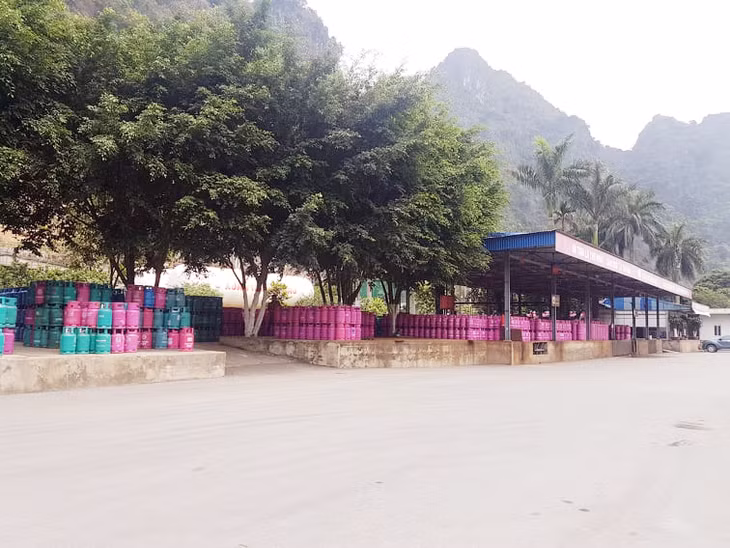 Khuôn viên xanh - sạch - đẹp của Công ty TNHH Dịch vụ thương mại tổng hợp Xuân Nghiêm.