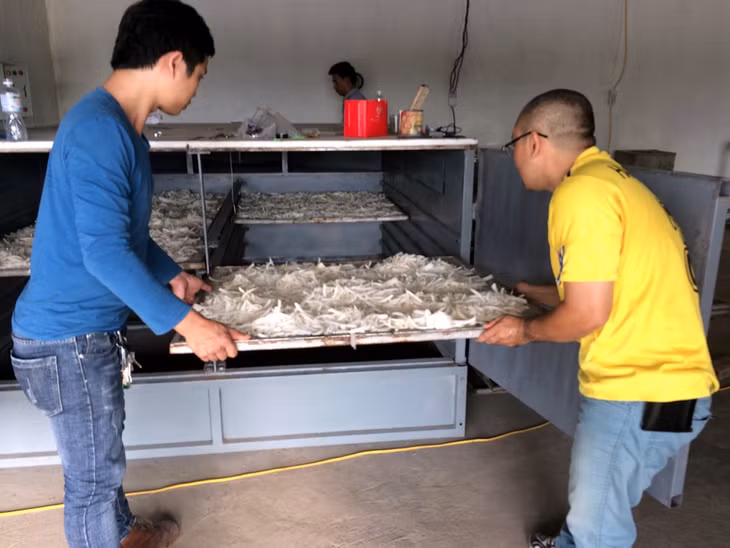Sản phẩm củ cải Đầm Hà