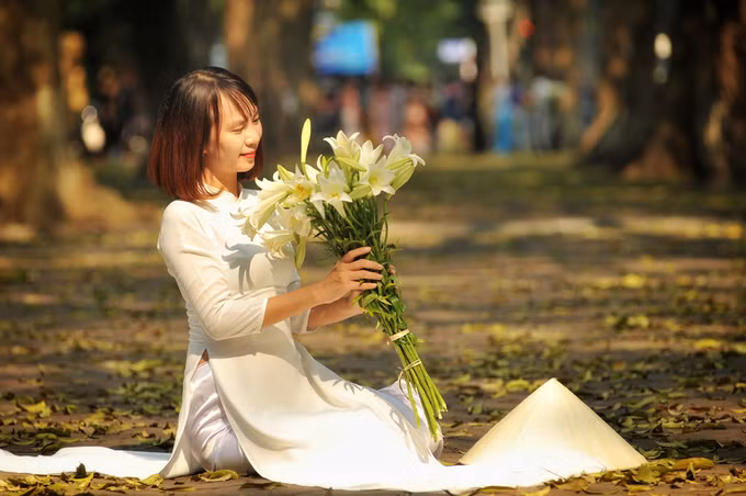 Lá sấu vàng, hoa loa kèn... là những biểu tượng của tháng tư, thường được kết hợp với những tà áo dài của các thiếu nữ Hà Thành. Các con đường trải thảm lá sấu vàng là nơi giới trẻ đến ghi hình kỷ niệm, bởi khung cảnh lãng mạn như trong những bộ phim Hàn Quốc.