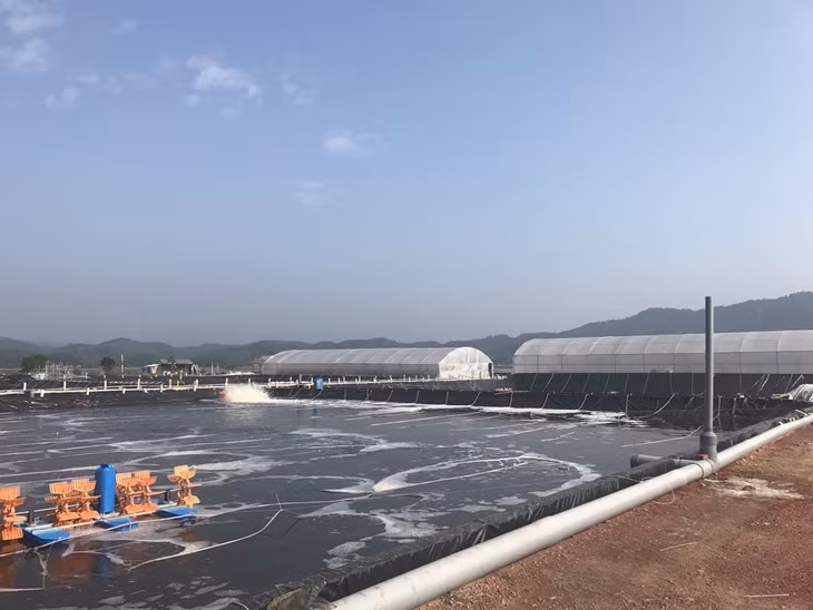 Rất nhiều mô hình nuôi thủy sản đã được phát triển mở rộng trên địa bàn huyện Tiên Yên
