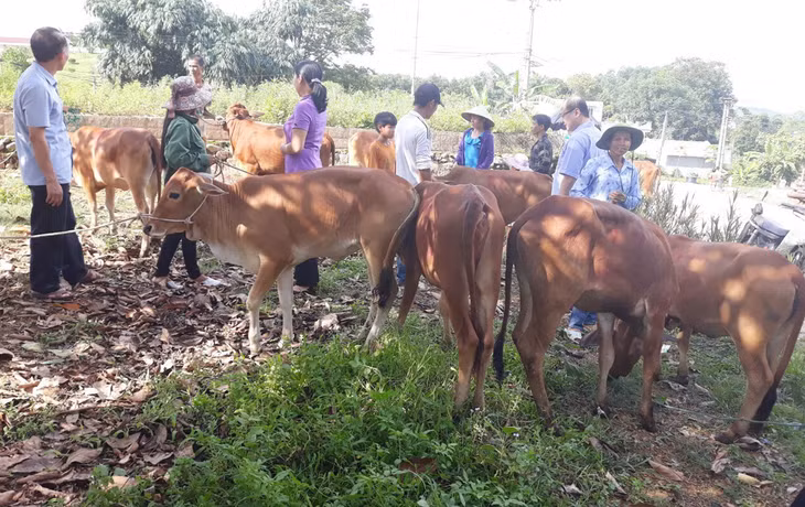 Cùng với công tác đào tạo nghề, huyện còn hỗ trợ cho người lao động đầu tư phát triển sản xuất