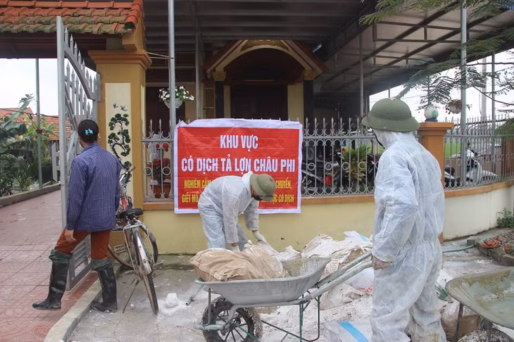Rắc vôi bột khử khuẩn là biện pháp cần thiết trong vùng có dịch bệnh.