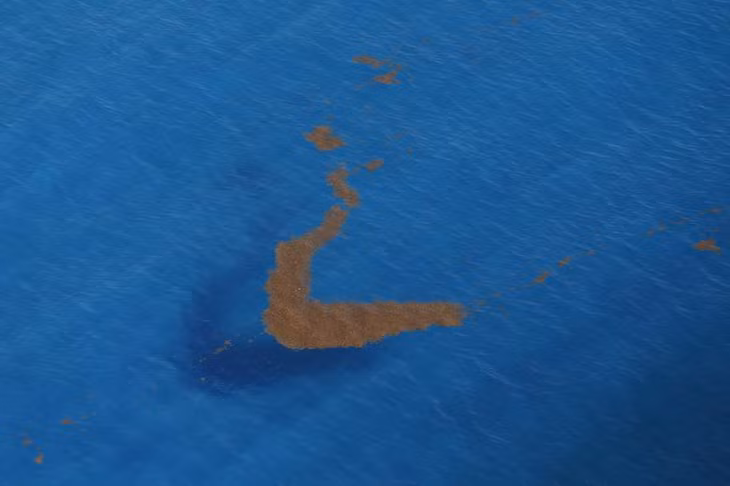  Ảnh chụp tảo Sargassum từ trên cao ngoài khơi đảo Cancun, Mexico. Ảnh: Reuters.