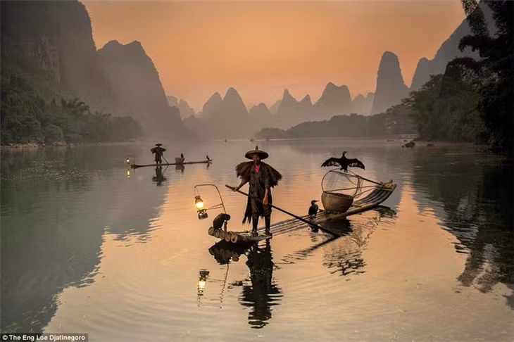  Một số khác bắt cá bằng chim cốc để giữ gìn nghề truyền thống của tổ tiên. Đa số họ là ngư phu đến từ làng chài Hưng Bình. Năm 1999, làng chài Hưng Bình trở thành điểm đến của cựu tổng thống Mỹ Bill Clinton và phu nhân trong chuyến thăm Trung Quốc. Ảnh: Bobby Joshi, The Eng Loe Djatinegoro.