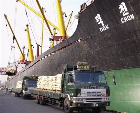 Vận chuyển gạo để viện trợ nhân đạo cho Triều Tiên tại cảng Osaka, Nhật Bản. Ảnh minh họa: AFP/TTXVN
