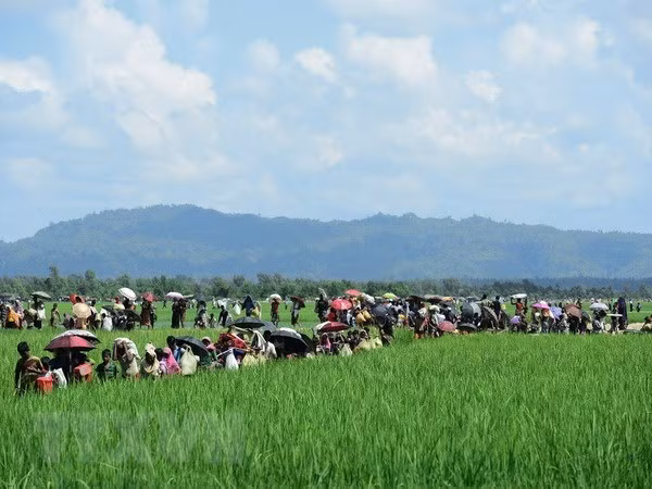 Người Rohingya chạy trốn xung đột từ Rakhine tới khu vực Palongkhali gần Ukhia, Bangladesh ngày 16/10/2017. (Nguồn: AFP/TTXVN)