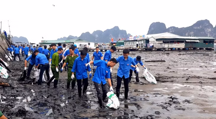 dọn vệ sinnh tại bến do