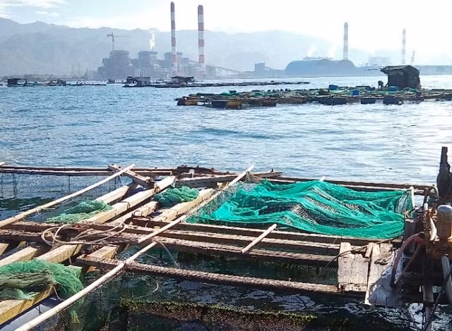Lồng bè nuôi cá ở vùng biển xã Vĩnh Tân, huyện Tuy Phong (Bình Thuận).