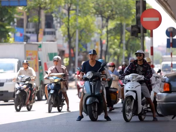 (Ảnh minh họa: Thành Đạt/TTXVN)