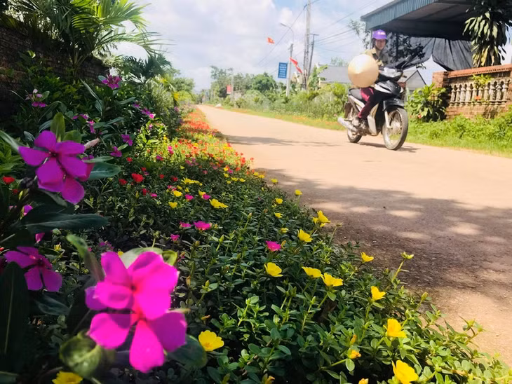 con đường hoa