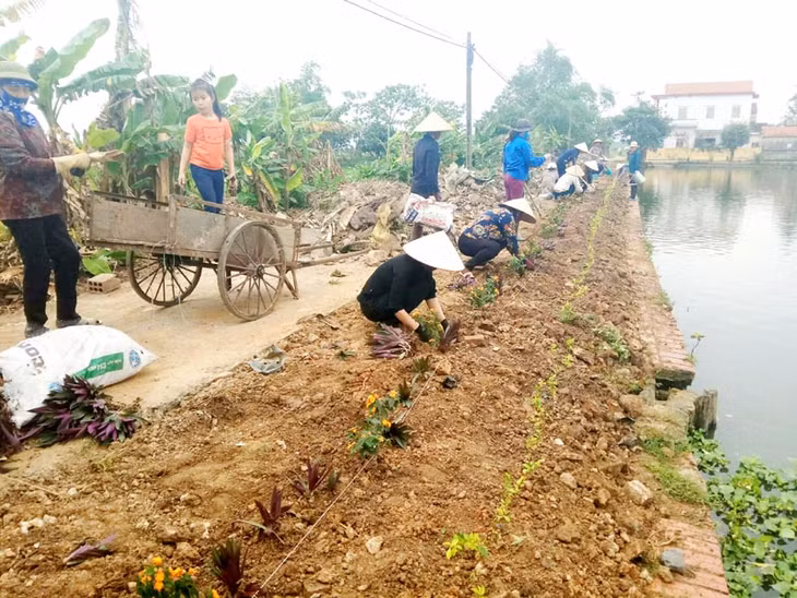 Phụ xã Hồng Phong, TX Đông Triều trồng hoa, cây xanh xây dựng tuyến đường mẫu tại thôn Bình Lục Hạ, xã Hồng Phong, TX Đông Triều. Ảnh: Đinh Yến, Trung tâm TT&VH Đông Triều