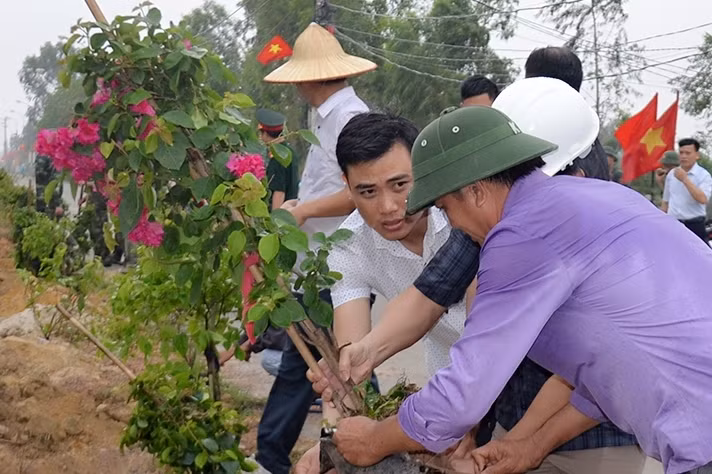 Để tạo cảnh quan đô thị, TP Uông Bí phát động phong trào trồng 1 triệu cây hoa giấy trên địa bàn thành phố