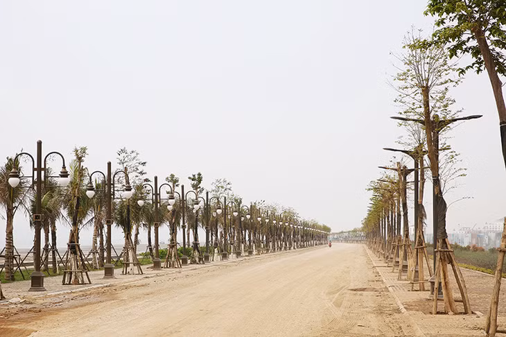 Đường dẫn vào Quảng trường đã được trồng cây xanh và chuẩn bị thảm bê tông nhựa mặt đường.