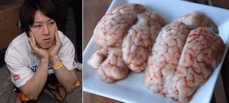 Mô tả ảnh.