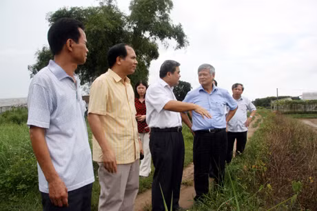 Đại biểu Trần Xuân Hoà thăm vùng sản xuất rau an toàn xã Quảng Minh.
