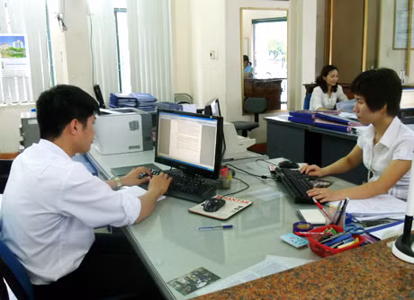 Cán bộ, nhân viên Kho bạc Nhà nước Cẩm Phả đang tích cực làm việc.