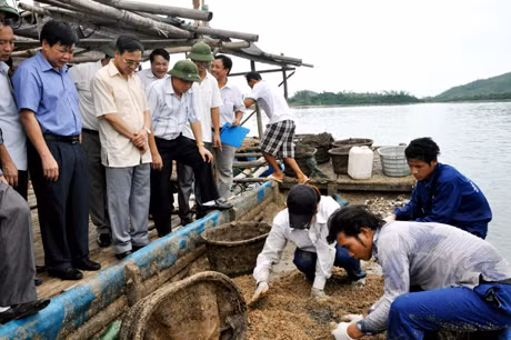 Đồng chí Đặng Huy Hậu kiểm tra tình hình dịch bệnh trên tu hài tại Vân Đồn.