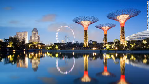 Gardens by the Bay phát ánh sáng rực rỡ trong đêm. Toàn bộ điện năng ở đây đều được chuyển đổi từ năng lượng mặt trời do chính các "siêu cây" tổng hợp. Ảnh: CNN