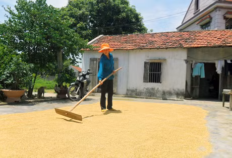 Chị Trương Thị Tuyến miệt mài làm việc nuôi con ăn học.