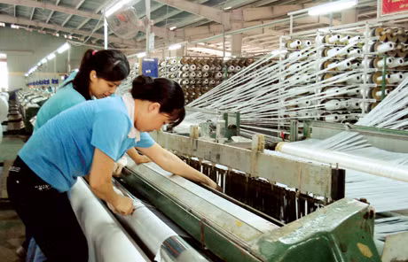 Dù khó khăn nhưng các doanh nghiệp FDI trong KCN Cái Lân vẫn giữ được tốc độ tăng trưởng. Trong ảnh: Sản xuất tại Công ty Vina Newtap.