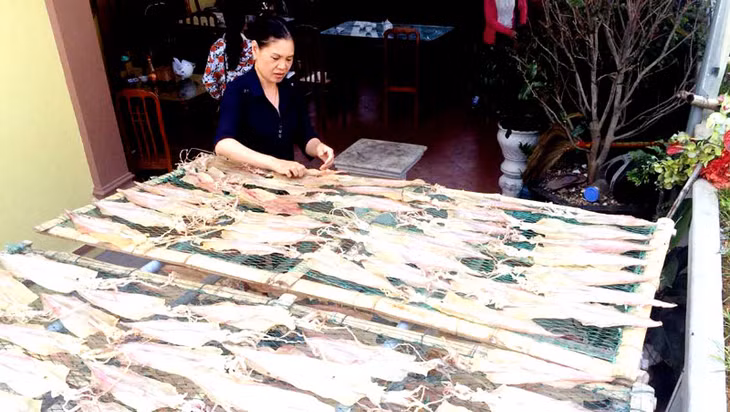 Mực ống Cô Tô sau khi làm sạch, được mang ra phơi khô để chuẩn bị cho công đoạn đóng gói, cung cấp cho thị trường.