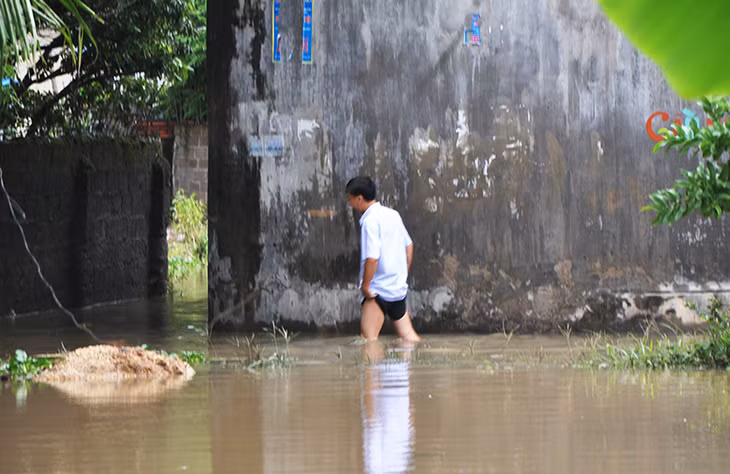Người dân bì bõm lội nước để vào nhà.