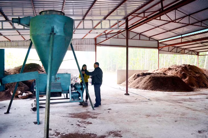 Công ty CP Nấm Thịnh Phát đang hoàn thiện dây chuyền công nghệ nuôi trồng, chế biến nấm quy mô công nghiệp.