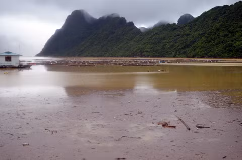 Hàng trăm ha nuôi nhuyễn thể của người dân xã Bản Sen (Vân Đồn) bị nước ngọt xâm nhập có nguy cơ mất trắng.