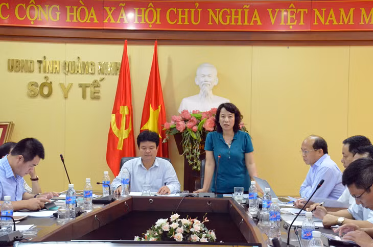 Đồng chí Vũ Thị ThPhát biểu tại buổi làm việc, đồng chí Vũ Thị Thu Thủy, Phó Chủ tịch UBND tỉnh cho biết
