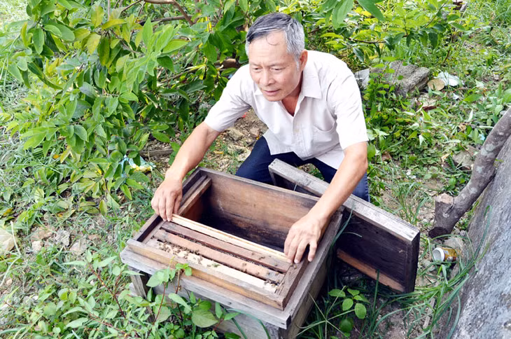Ngoài thời gian công tác, ông Nguyễn Ngọc Xuân dành chăm sóc đàn ong nuôi của gia đình.