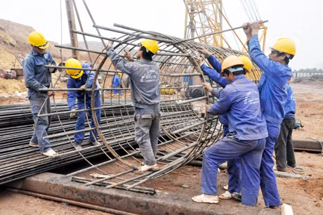 Thi công cốt thép cọc khoan nhồi trụ Z14.