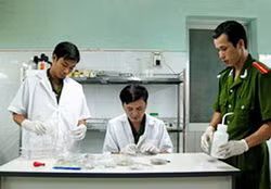 Ảnh minh hoạ.