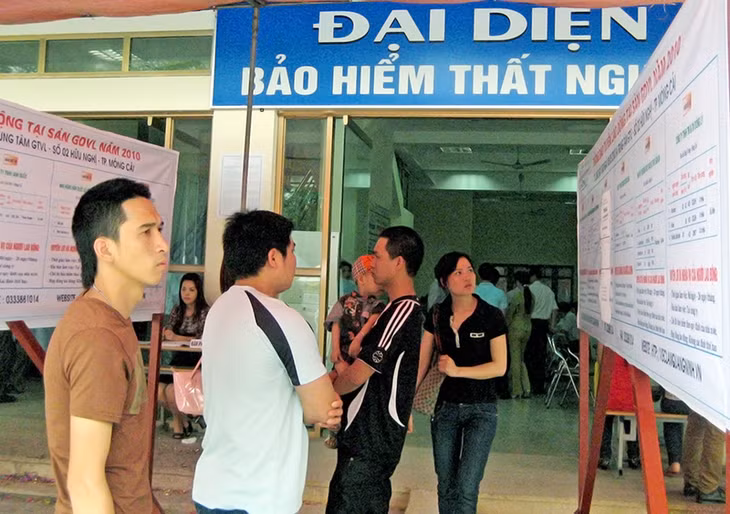 Nếu hàng tháng NLĐ không thông báo với TTDVVL nơi đang hưởng trợ cấp thất nghiệp về việc tìm kiếm việc làm họ sẽ bị cắt trợ cấp. (trong ảnh: NLĐ tìm hiểu thông tin việc làm tại Sàn giao dịch việc làm vệ tinh TP Móng Cái của TTDVVL tỉnh).