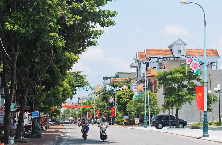 Dọc hai bên các tuyến đường giao thông đều có cây xanh.
