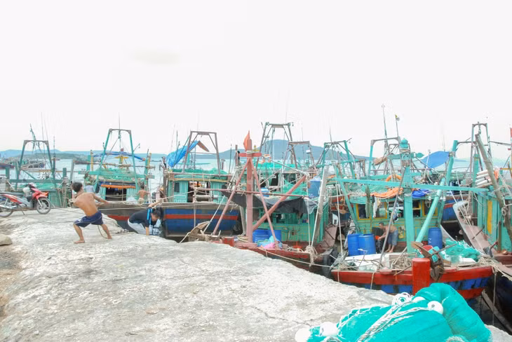 Ngư dân neo đậu tàu thuyền tại Vụng Cái Chiên.