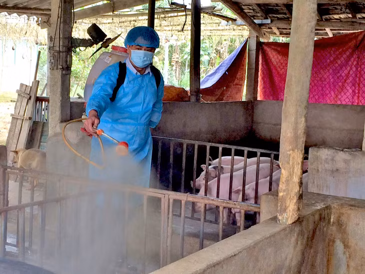 Vệ sinh tiêu trùng, khử khuẩn chăn nuôi của gia đình ông Đinh Khác Tứ, thôn 4, xã Quảng Chính (Hải Hà).