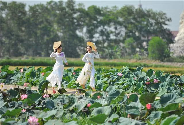Thiếu nữ bên sen