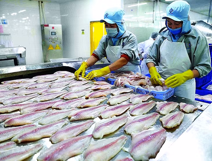 Ngành thủy sản cần chuẩn hóa quy trình để xuất khẩu thành công sang EU