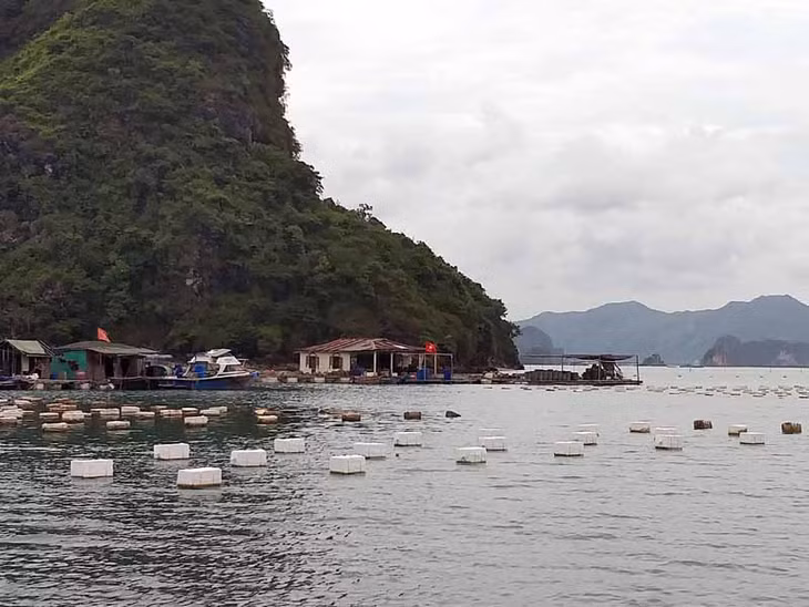 Một góc khu nuôi trồng thuỷ sản ở xã Hạ Long, huyện Vân Đồn. Ảnh chụp ngày 4/6